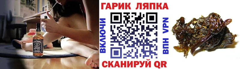 Наркошоп купить Каннабис Альфа ПВП ГАШ МЕФ Cocaine Глазов