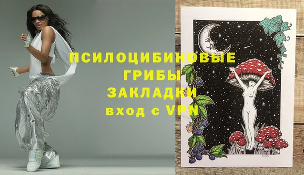 прущие крисы Богданович