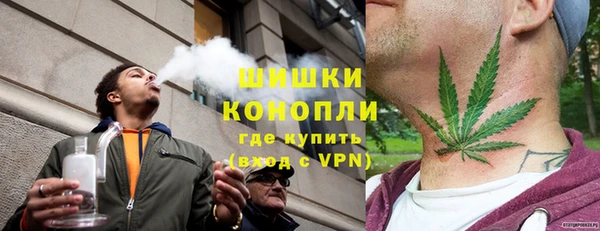 дмт Белокуриха