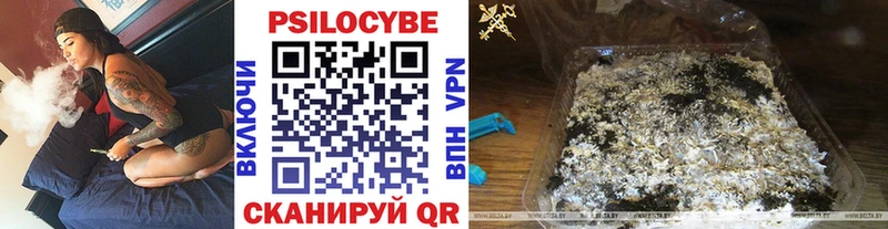 Купить закладки  Глазов  Псилоцибиновые грибы Psilocybine cubensis 